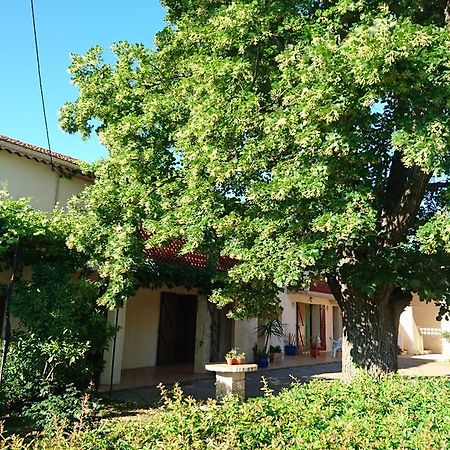 Les Prairies Mas Roux Guest House Raphele Luaran gambar