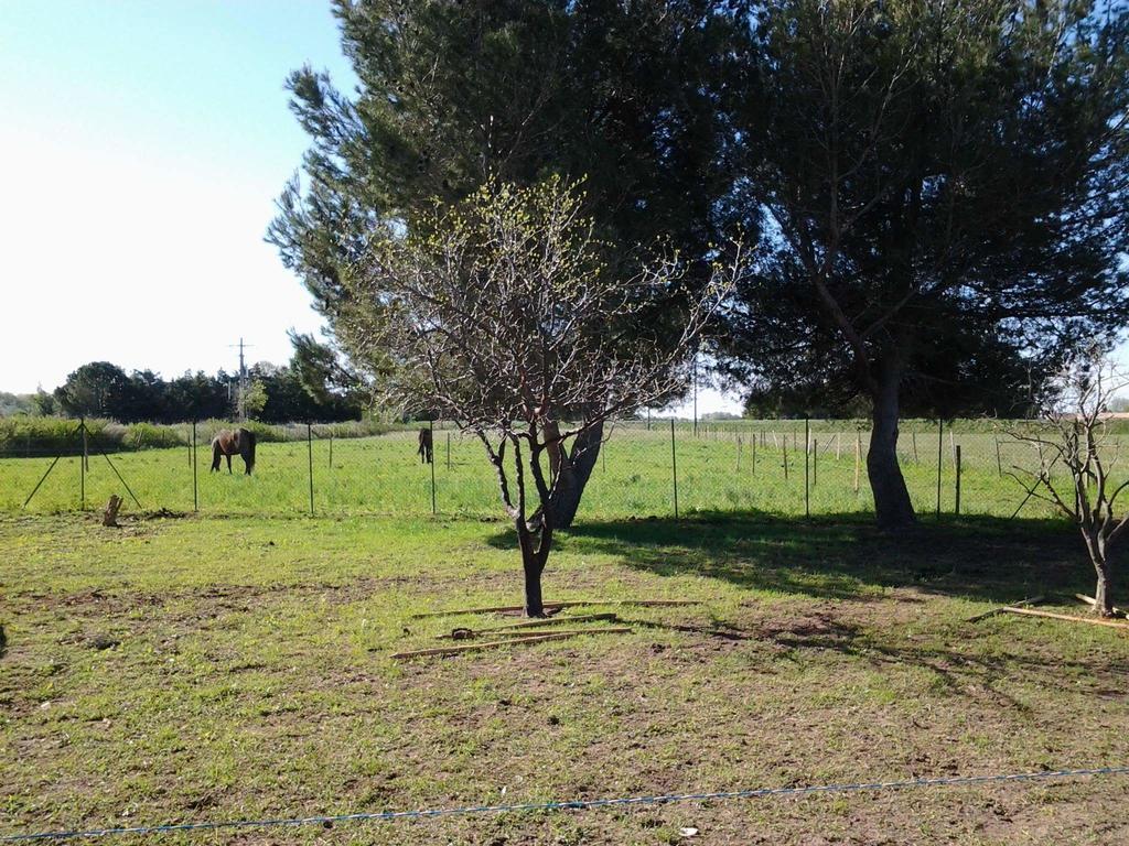 Les Prairies Mas Roux Guest House Raphele Luaran gambar