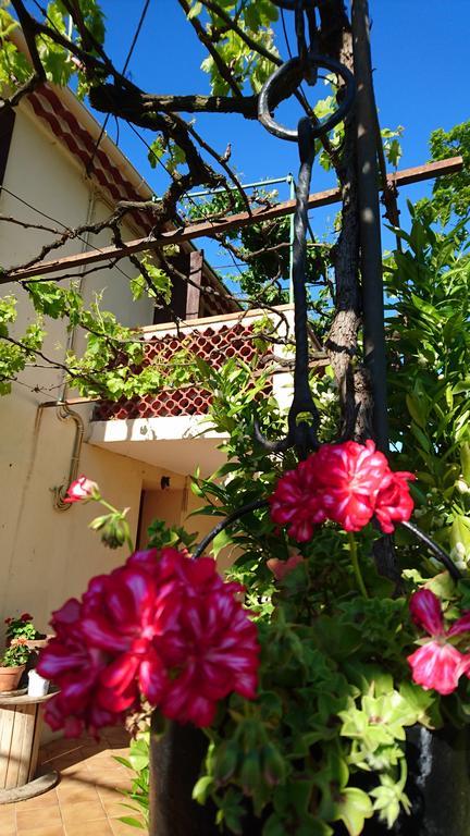 Les Prairies Mas Roux Guest House Raphele Luaran gambar