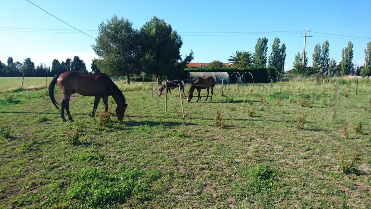 Les Prairies Mas Roux Guest House Raphele Luaran gambar